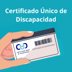 C Mo Obtener El Certificado Nico De Discapacidad Cud