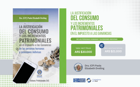 e-book La justificación del consumo y los incrementos patrimoniales