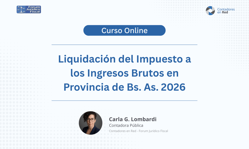 Banner Liquidación del Impuesto sobre los Ingresos Brutos en Provincia de Buenos Aires