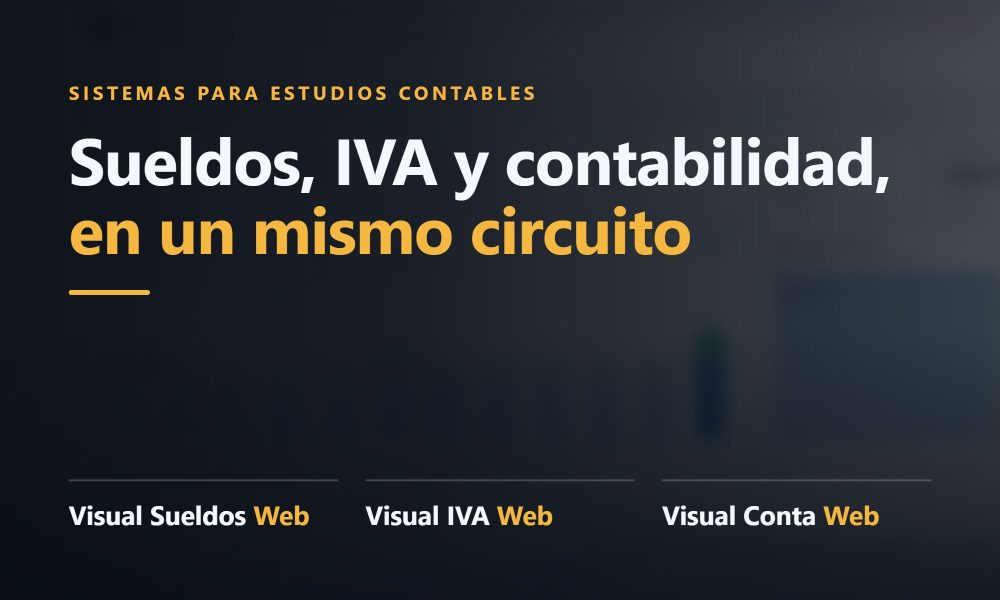Visual Sueldos, IVA y Conta Web